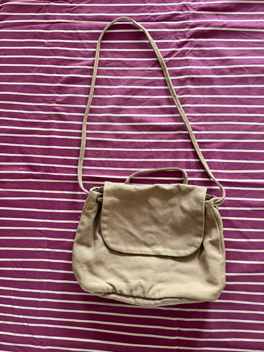 Baggu Crossbody Canvas Purse in Mushroom